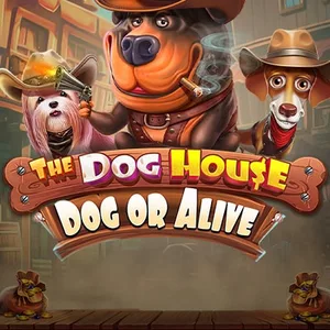 The Dog House Slot bei BlitzBet Österreich